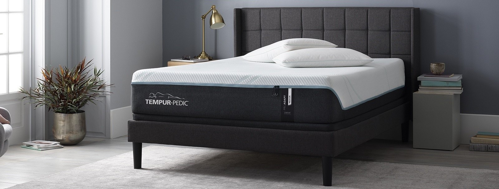 Pro Adapt Mattress in styled room